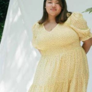 Christy Brooklyn Dawn Golden Pollinator Garden print dress size 3X